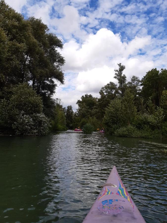 Chez Cadet Villa Larzicourt Dış mekan fotoğraf