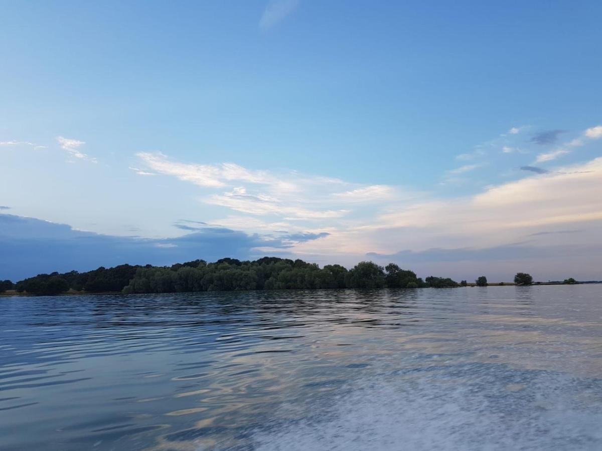Chez Cadet Villa Larzicourt Dış mekan fotoğraf